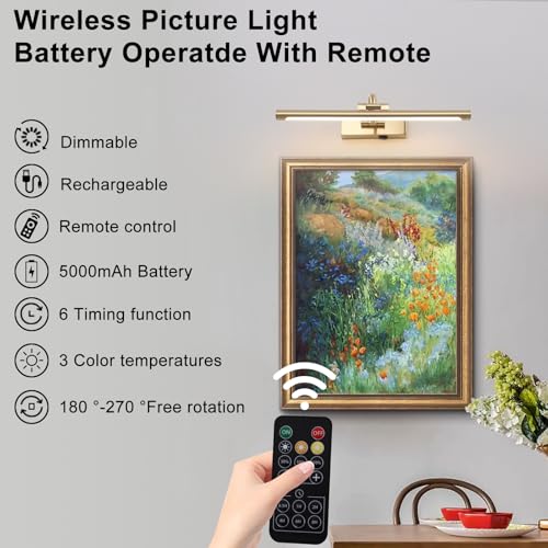 Luzes de imagem sem fio para parede, luz de arte operada por bateria para pinturas com controle remo