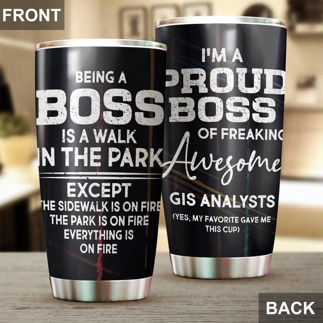 Miniatura 4 de MEDROC Being Boss Of GIS Analysts Is Walk In Park - Vaso de acero inoxidable de 20 onzas, regalo de agradecimiento al líder gerente para hombres y