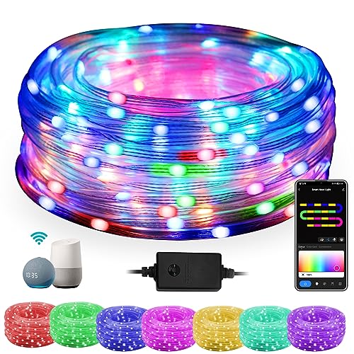 Smart LED Rope Lights for Outside, 16 Million Colors Changing Outdoor String Lights Waterproof, 66FT 200LEDs Music Sync Twinkle Christmas Lights Works with Alexa for Bedroom Patio Holiday Tree Decor