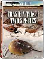 Nature: Crash - A Tale of Two Species [DVD] [Region 1] [US