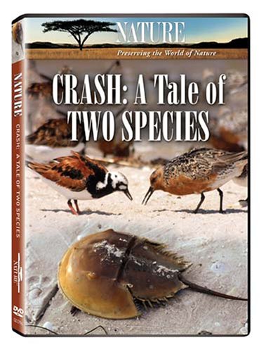 (未使用･未開封品)Nature: Crash - A Tale of Two Species [DVD] Nature: Crash - A Tale of Two Species [DVD] [Region 1] [US