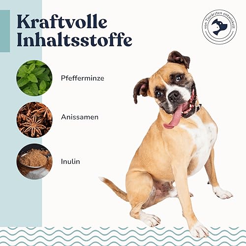 felmo Zahnsticks für Hunde mit Minze & Lammprotein – ca. 19 Kausticks mit Probiotika in Sternform – zuckerfrei, ohne künstliche Farbstoffe, ohne künstliche Aromen