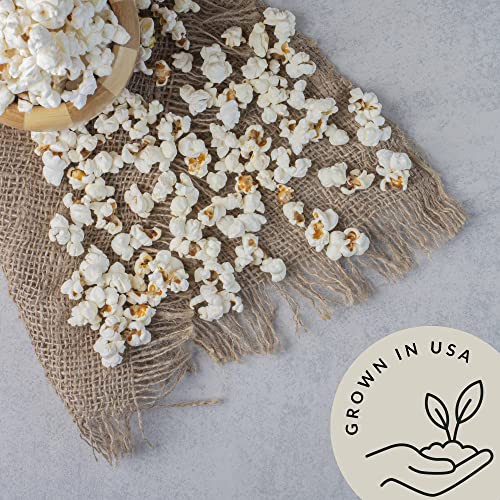 White Organic Popcorn Kernels (5Lb) Be Still Farms - Hulless Uncooked Corn Bulk Ideal For Popping - Healthy Microwave Snacks Great For Movie Night - Usa Grown | Usda Certified | Non-Gmo | Vegan #TOP3