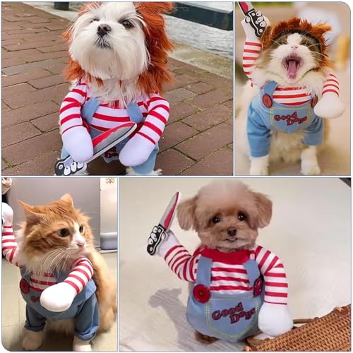 Kreativ und Lustig Hundekostüm Halloween Persönlichkeit 50 * 45 cm Kann von Katzen und Hunden Verwendet Werdenostüm Hundekleidung Größe L Geeignet für Kleine Mittelgroße Hunde Karneval Tierpartys