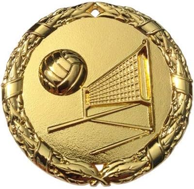 Express Medals Various Styles 1 to 50 Pack Gold Color 2 inch Volleyball Medals Trophy Award with Neck Ribbon Medal Trophies Gift Prize Tournament Champion Team 1st Place NS22