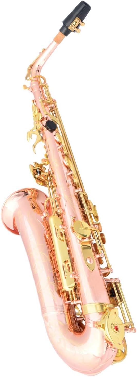 Kit de saxofón alto para principiantes, cuerpo profesional de bronce fósforo con teclas doradas, juego completo de instrumentos musicales para aprendizaje y actuación
