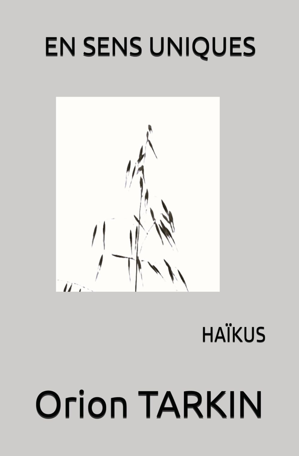EN SENS UNIQUES: HAÏKUS