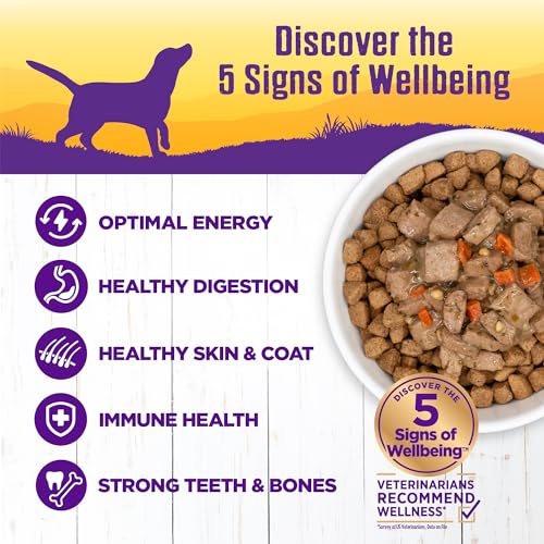 Image of Wellness Complete Health Stew Adult Canned Wet Dog Food, Grain Free, Natural, Lamb and Beef Recipe, 12.5 oz, Pack of 12 Cans