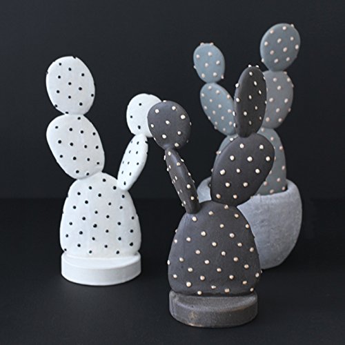 Amazon.co.jp: STUDIO.ZOK 陶植 - ウチワサボテン Ceramic