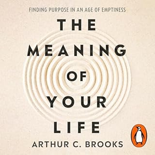 The Meaning of Your Life cover art