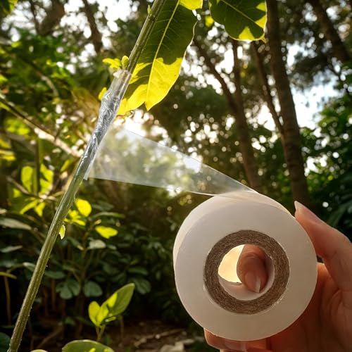 Image of QfwdfcTrenz Grafting Tape, 3cm x 150M Stretchable Garden Plants Repair Budding Tapes Nursery Sealing Tapes Grafting Clear Film Garden Hand Tools for Fruit, Floral, Tree and Plants