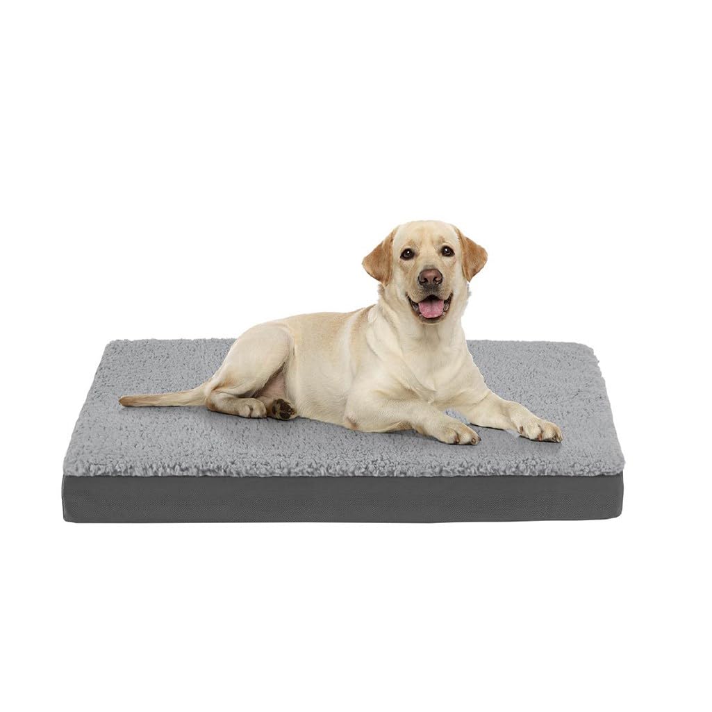 Tapis en mousse à mémoire de forme pour chien pour des siestes au frais