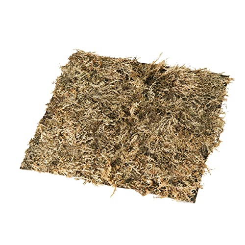 C&F Home Moss Square Mat