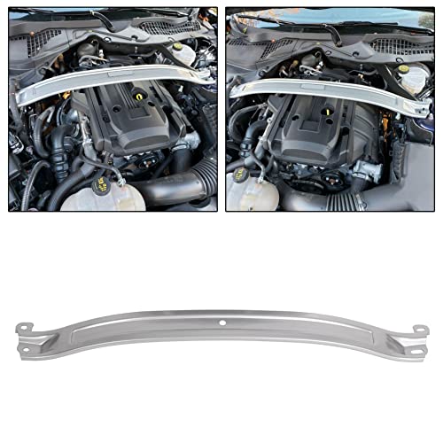 10 Best Strut Braces Review And Everything Pantry