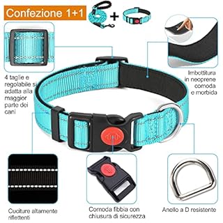 haapaw Collare Riflettente per Cani con Morbido Neoprene Traspirante Regolabile Collari in Nylon Per Cani Piccoli Medi Grandi