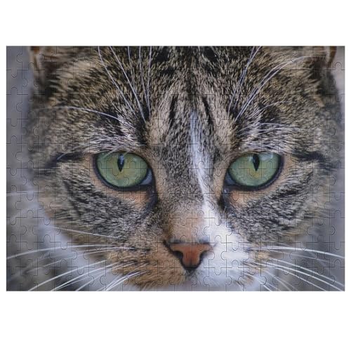 L   pY NG[VAjObY 킢 l jp D ߋ t@[Xg`CX ؐ  Ǐ葡蕨 av[g 200 PCS