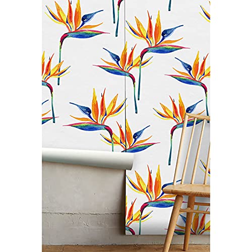 Papier Peint Magic-Stick Oiseau Paradis pour Mur de Cuisine - 5