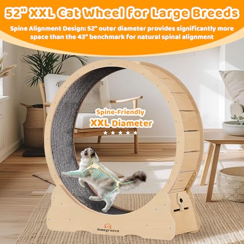 Image of Homegroove XXL Cat Exercise Wheel, 52 inch /132cm Large Cat Wheel, Solid Wood Cat Treadmill with Integrated Safety Lock, Spine Alignment Design for Large Indoor (XXL, Natural Wood)