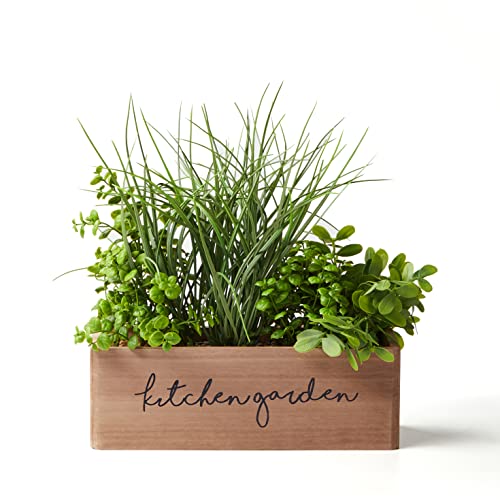 Künstliche Kunststoffpflanze Topfpflanzen mit Holzbox für Zuhause Büro Schreibtisch Garten Indoor Outdoor Dekoration Stil (mit Schriftarten) Cover