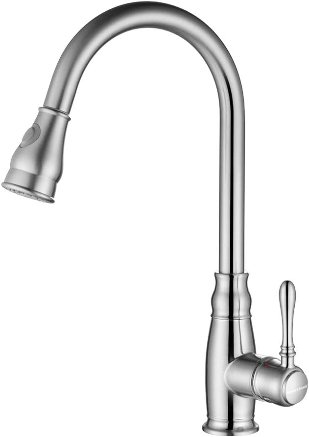 WATER'S GOOD Kitchen Faucet Brushed Nickel Single Handle Countertop Faucet with Pull Down Sprayer
