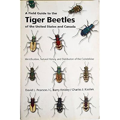 A Field Guide to the Tiger Beetles of the United States and Canada