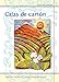 Cajas de carton (Nuestra Vision) (Spanish Edition) (World Languages)