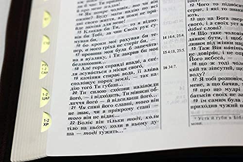 Ukrainian Bible / leatherette brown soft cover / 075Zti Large Size 18X25 cm / Colour brown, olives/ with References / Zipper, Golden Edges with Thumb Index / Color maps/ Біблія      Imitation Leather