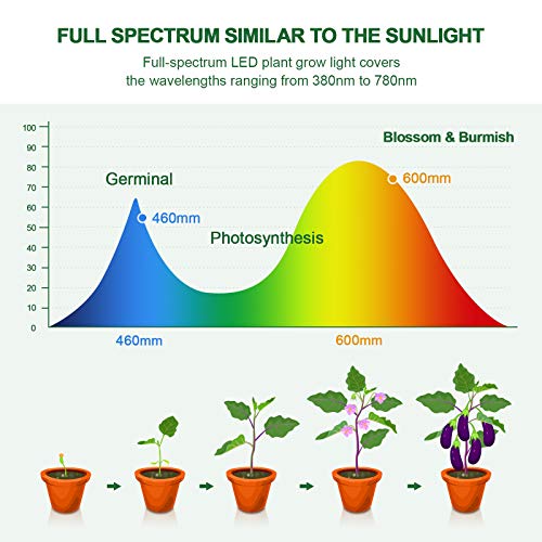 Grow Light with Tripod Stand, Balhvit 288PCS LED Grow Lights for Indoor Plants Full Spectrum with 3/6/12H Memory Timer & 6 Dimmable Levels, Sunlike Floor Plant Light for All Growth Stages - Thumbnail 3