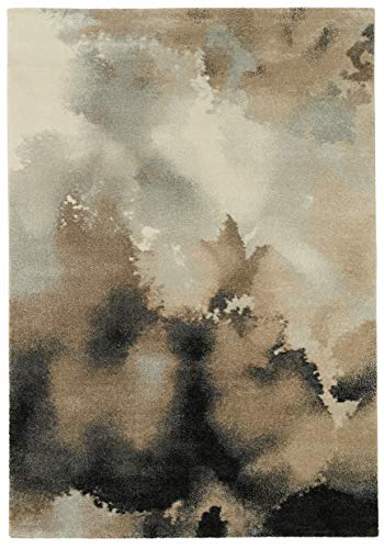 Teppich Florida 230 x 160 Goldgrau