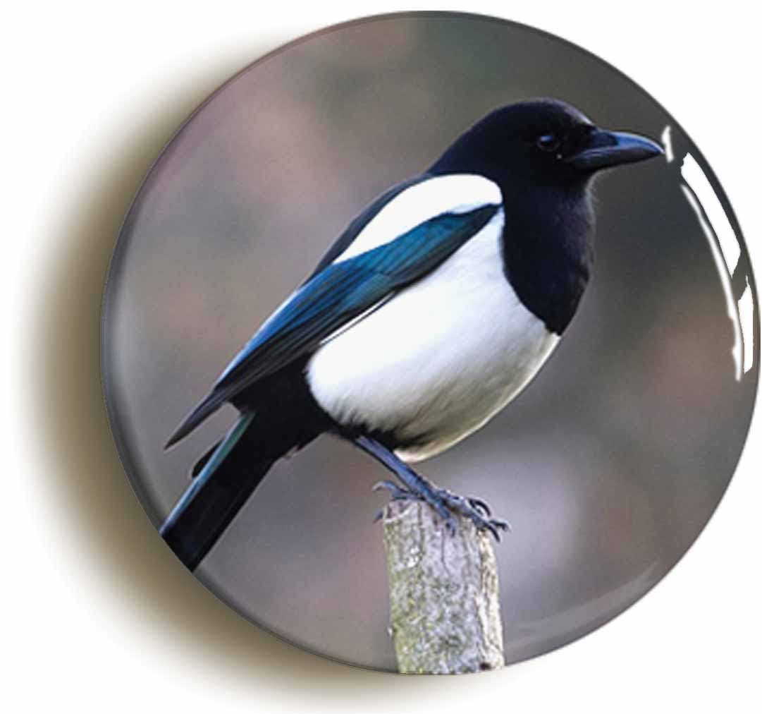 Ozorath Magpie Fridge Magnet (Circular 2Inch / 50Mm Diameter)