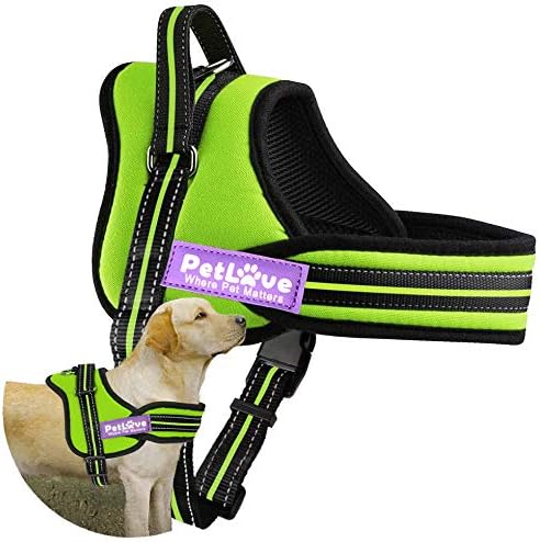 pettorine per cani di grandi dimensioni