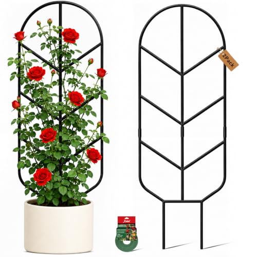 Image of Plant Trellis for Potted Plants, Trellis for Climbing Plants