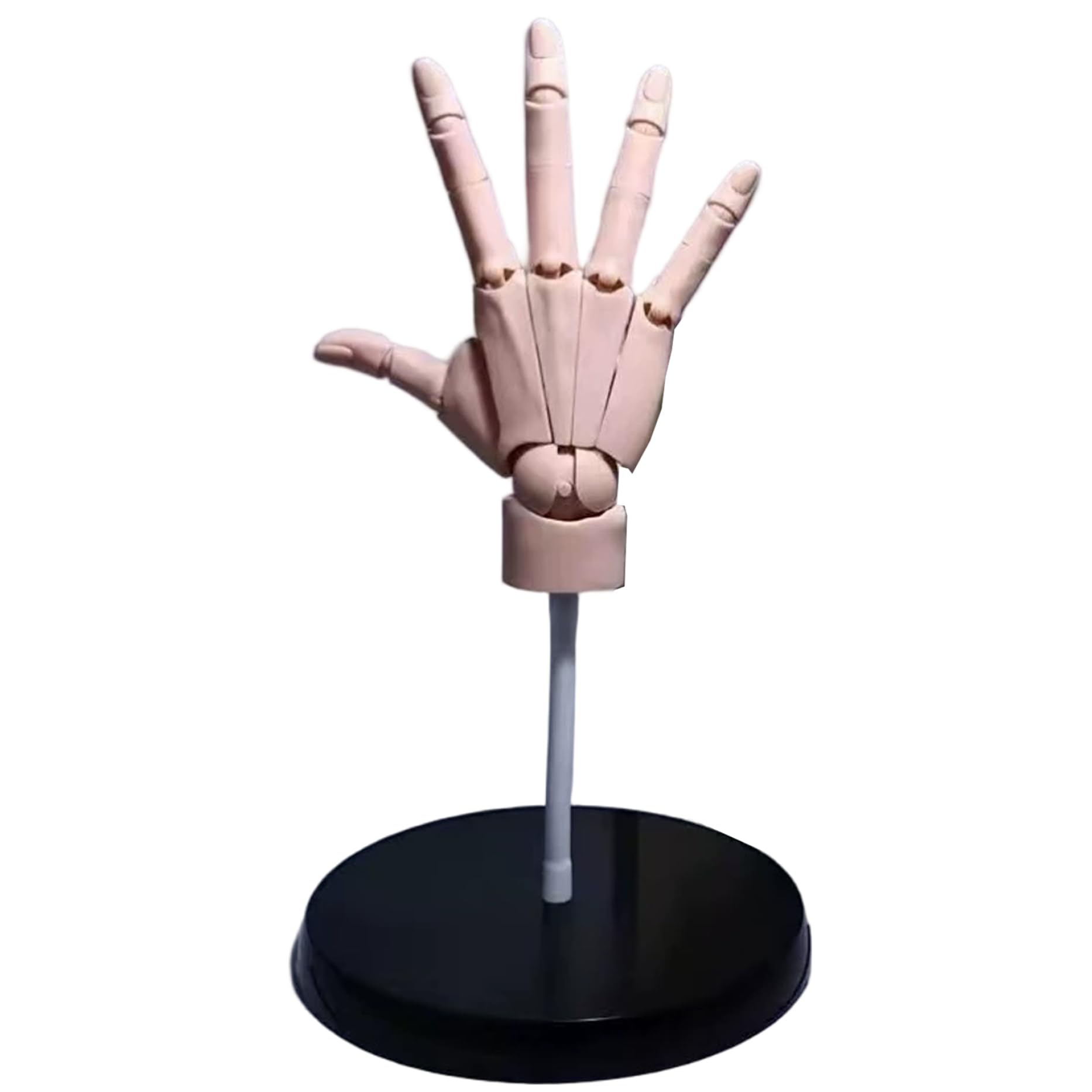 Modello di mano flessibile articolata in PVC con giunto e base mobile per disegno e pittura