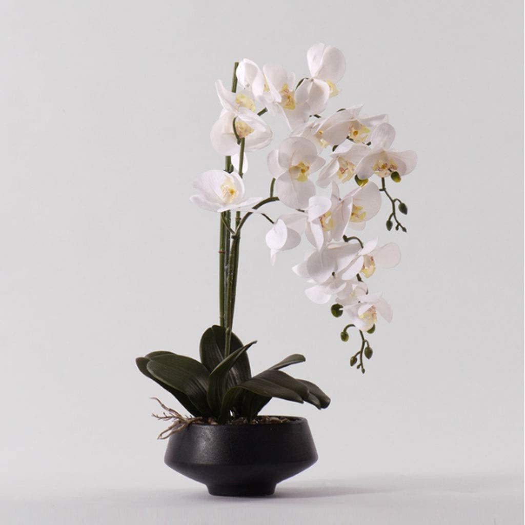 Bellissime Orchidee Fiori Artificiali Orchidee Bianche Fiori Artificiali Fiori Finti al Tatto Reali Composizione Floreale di Phalaenopsis in Seta con Vaso di Fiori,