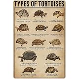 Types Of Tortoises Metal Tin Signs Tortoises Knowledge Retro Poster Infographic Educational Charts Wall Plaques Decor For Home Classroom Room Office 12x16 Inch