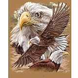 Kit de broderie diamant 5D à faire soi-même, motif aigle - Décoration murale - Cadeau A8 - 60 x 80 cm