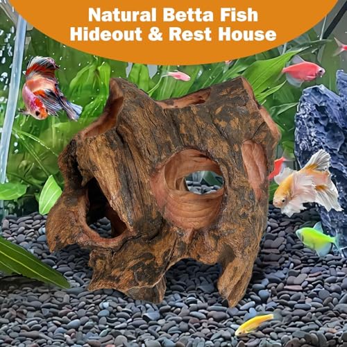 Image of PINVNBY Betta Fish Cave Natural Wood Betta Fish Hideout for Aquarium Fish Tank Decorations Hideout Betta Fish Accessories Habitat Shelter for Crayfish Shrimp and Other Aquatic Pets