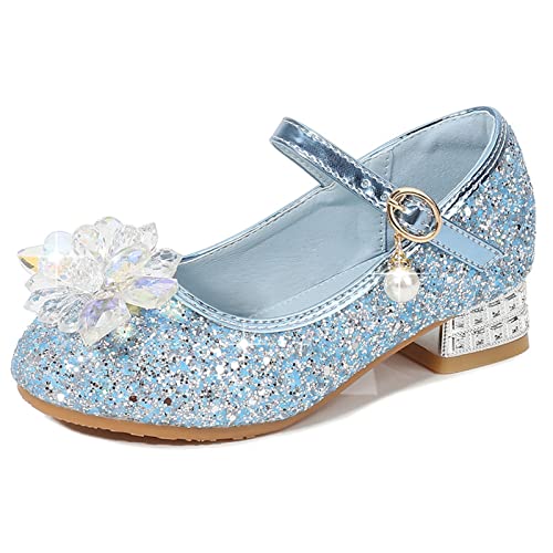 WENJIAZHIZHI Girls Mary Jane Princess Dress Shoes Low Heels Crystal Flowers Wedding Party School Pumps Shoes (Little Toddler/Big Kids)