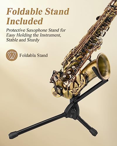 Image of Eastar Alto Saxophone Beginner E Flat, Vintage Bronze Full Kit, AS-II-Ab