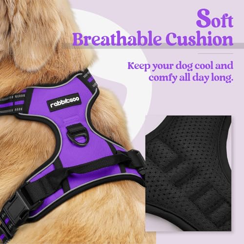 Image of rabbitgoo Dog Harness No Pull with 2 Leash Clips, Adjustable Soft Padded, Reflective Oxford No Choke Pet Vest with Easy Control Handle for Small Dogs, Purple, S