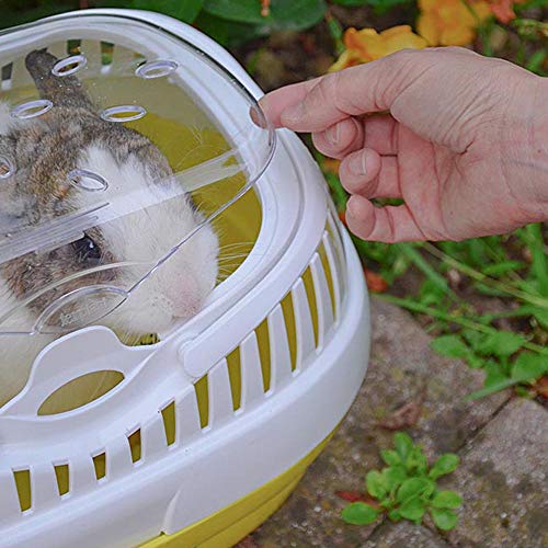 Ferplast Transportbox für Hamster und andere kleine Nagetiere Aladino Large Reisekäfig für Hamster, Farbiger Boden mit transparentem Deckel, 36 x 26 x h 23 cm, grün