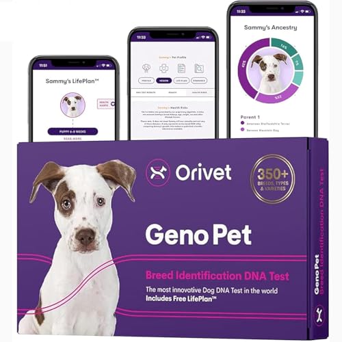 ORIVET GenoPet Dog DNA Test Kit | Vet-Approved | Identify 365+ Dog Breeds | Canine Ancestry & Genetic Health Traits | at-Home Swab | Results in 21–25 Days from Kit Arrival