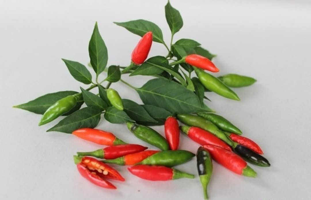 See full amazon price history chart for The Entacloo_™ Chilli Hot Thai Pepper or Kanthari Mulaku_Y1198(100per packet) The Entacloo_™ Chilli Hot Thai Pepper or Kanthari Mulaku_Y1198(100per packet) (B0B6R7YGBX) Amazon Price History, Amazon Price Tracker