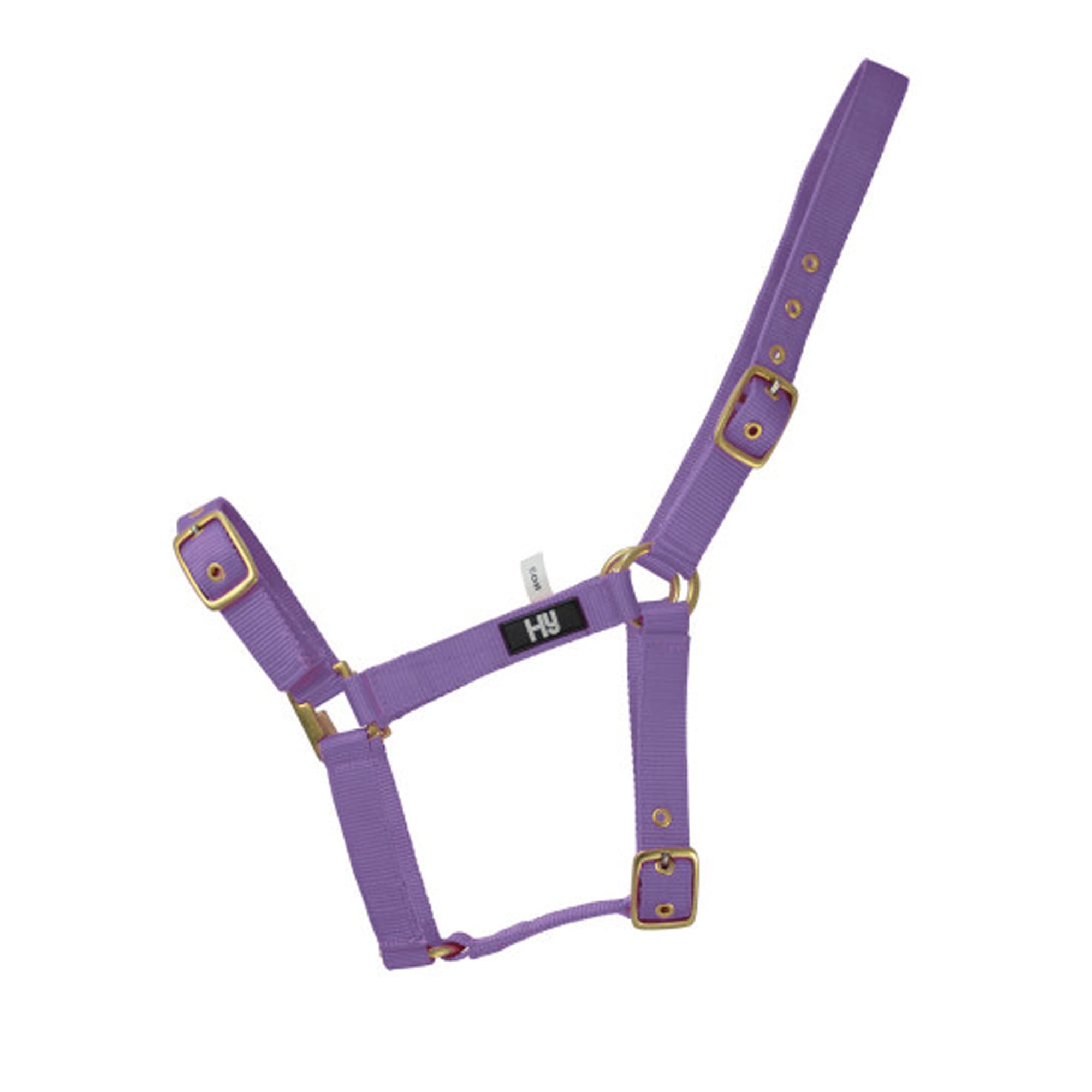 Hy Holly Fully Adjustable Headcollar(Purple, Cob)