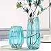 Lucky Bird Modern Ribbed Blue Glass Vase for Flowers, Candles, and Decorative Accents - Tall/Short for Centerpieces and Table Decor (H8.0inch)