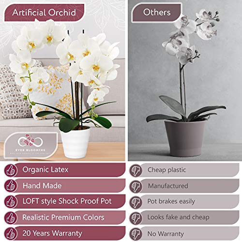 image for EVER BLOOMING Artificial Orchid Flowers Fake Potted Plants - Indoor Fa