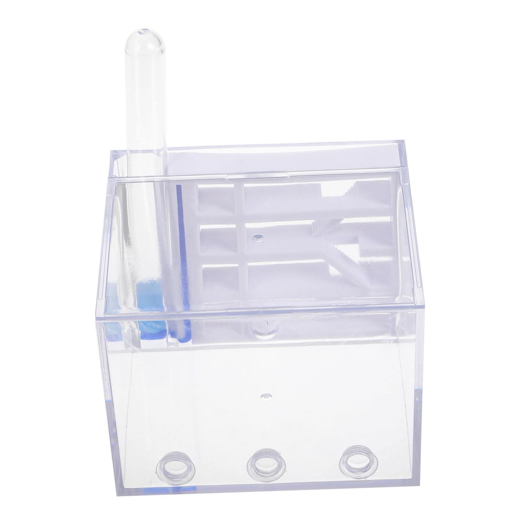 BESTonZON Fourmilière en Acrylique Observation Facile, Trousse Éducative pour Enfants, Jouet Scientifique
