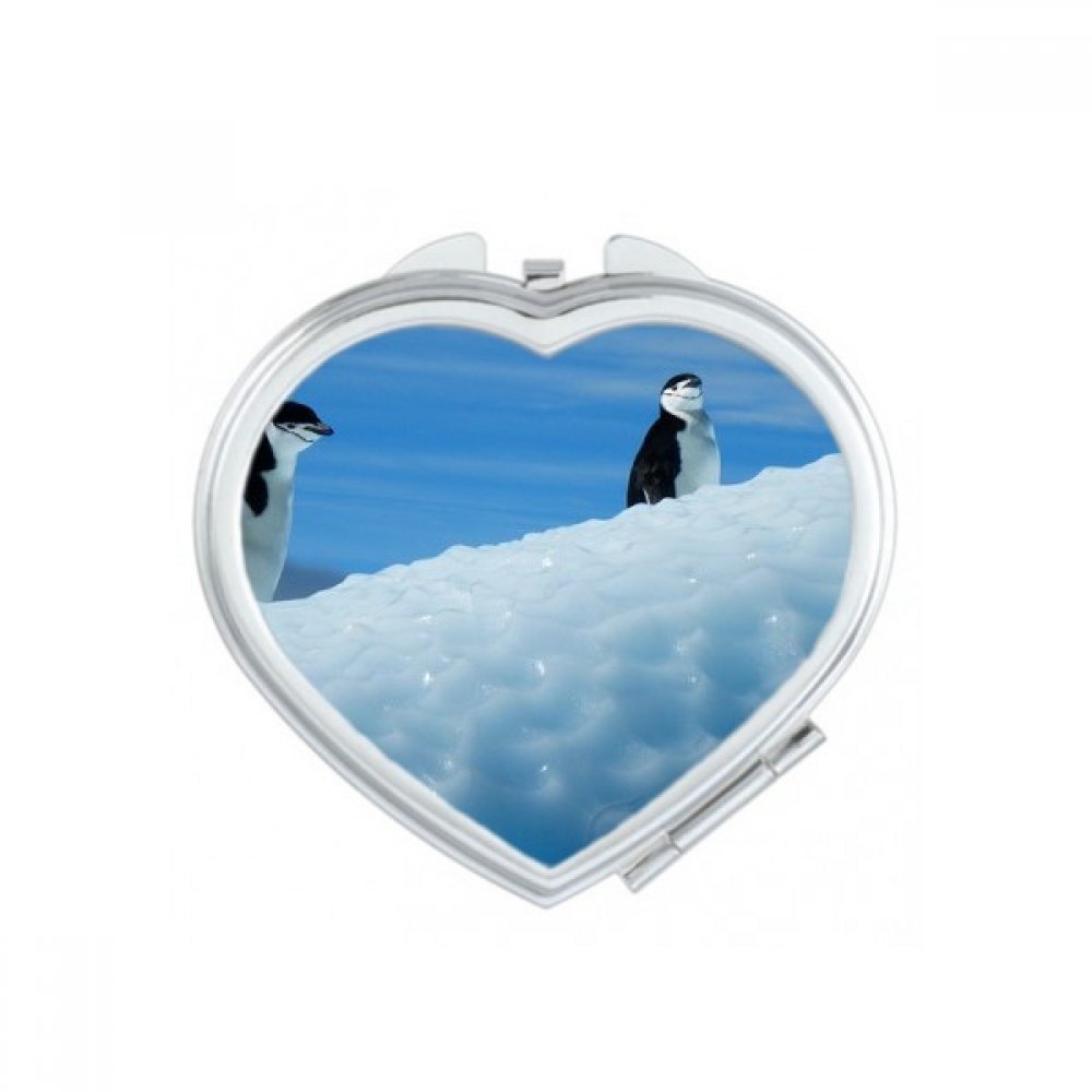 Miroir de poche deux manchots de l'Antarctique mignon et portable