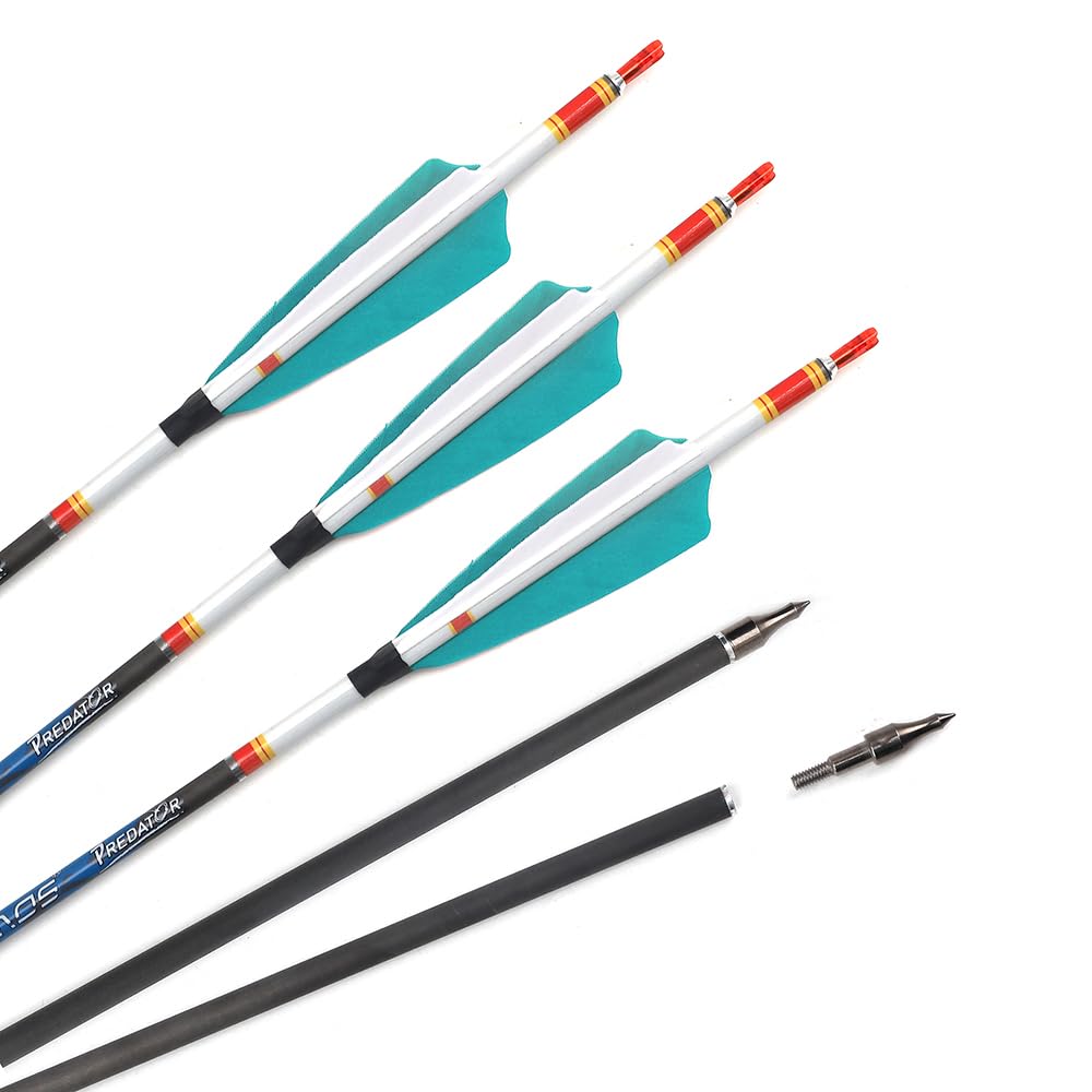 6pc 21-Inch 700-Spine Arrow Removable Tips Targeting Hunting Arrow 4" Turkey Feather Feathered Carbon Arrows for Traditional Bow Long-Bow Recurve Bow Compound Bow Adult Youth Archery Lake Blue A26