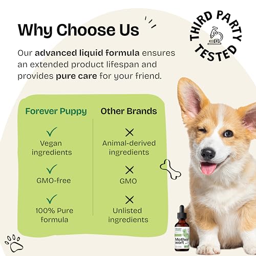 Motherwort Drops for Dogs – Heart Support for Dogs – Calming Support Supplement w/Motherwort Herb – Liquid Dog Vitamins and Supplements for Health, Composure & Relaxation – Herbal Dog Care – 2 oz Motherwort Drops for Dogs – Heart Support for Dogs – Calming Support Supplement w/Motherwort Herb – Liquid Dog Vitamins and Supplements for Health, Composure & Relaxation – Herbal Dog Care – 2 oz